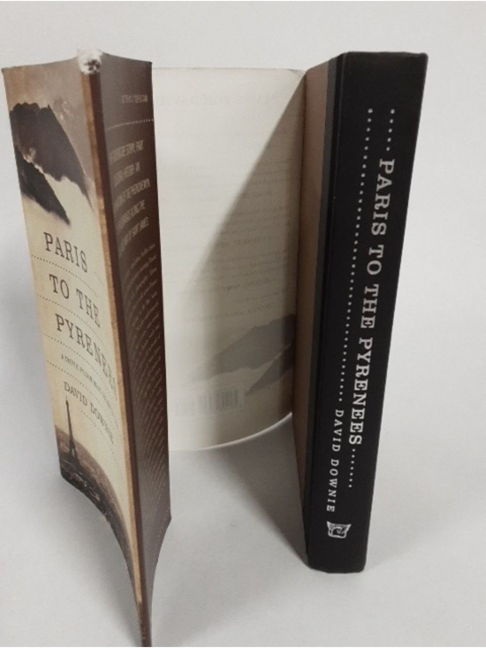 Paris To The Pyrenees: A Skeptic Pilgrim Walks The Way Of Saint James Hardcover - Picture 9 of 14